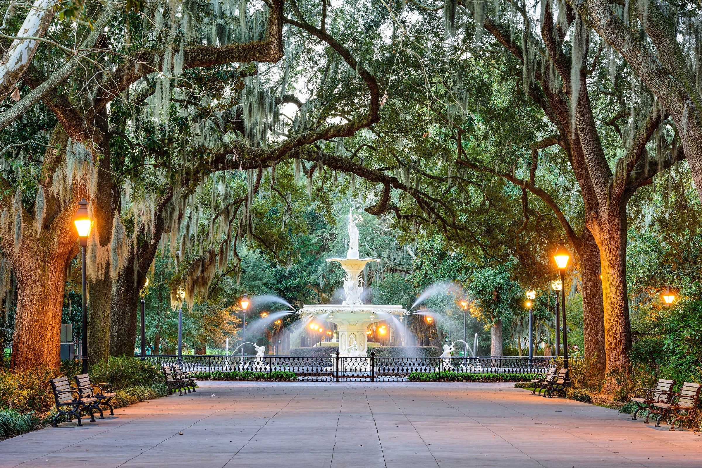 Savannah Office